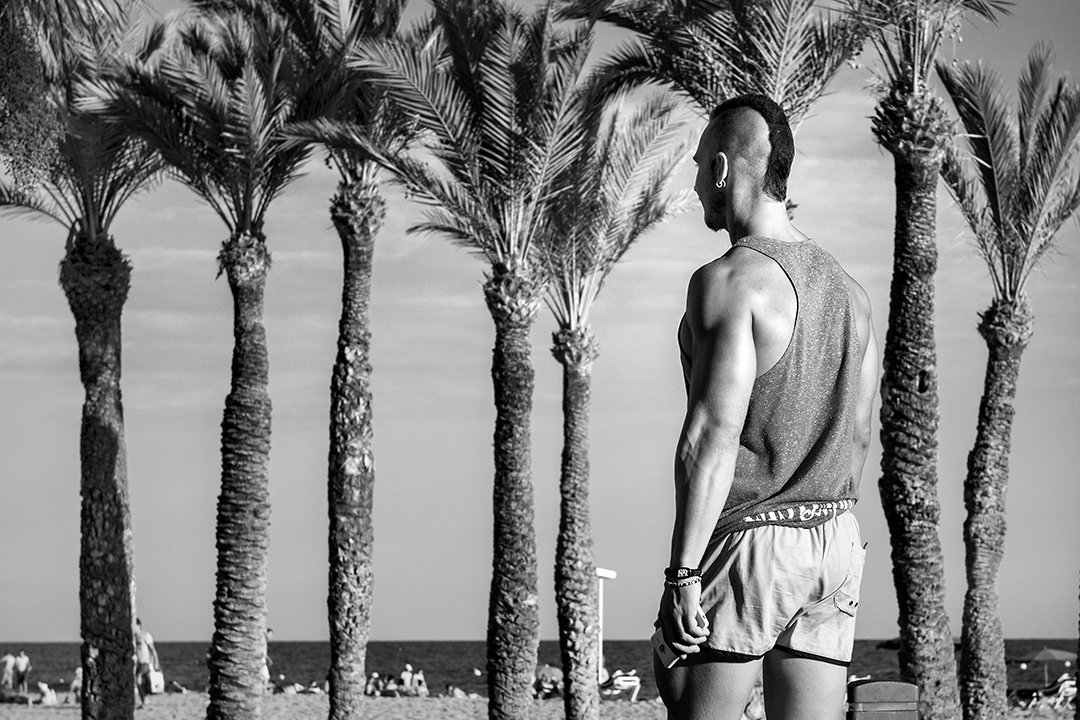 A young man seen from behind beside a row of palm trees facing the sea.
